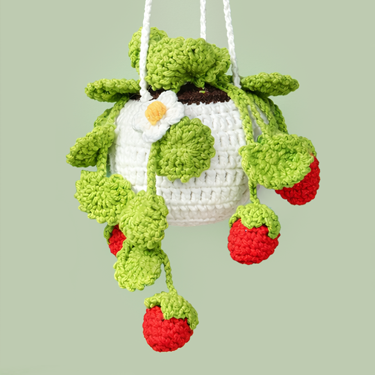 Haning Strawberry Pothos